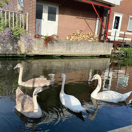 Pakhuis Prins Bed & Breakfast Zaandam Exterior photo