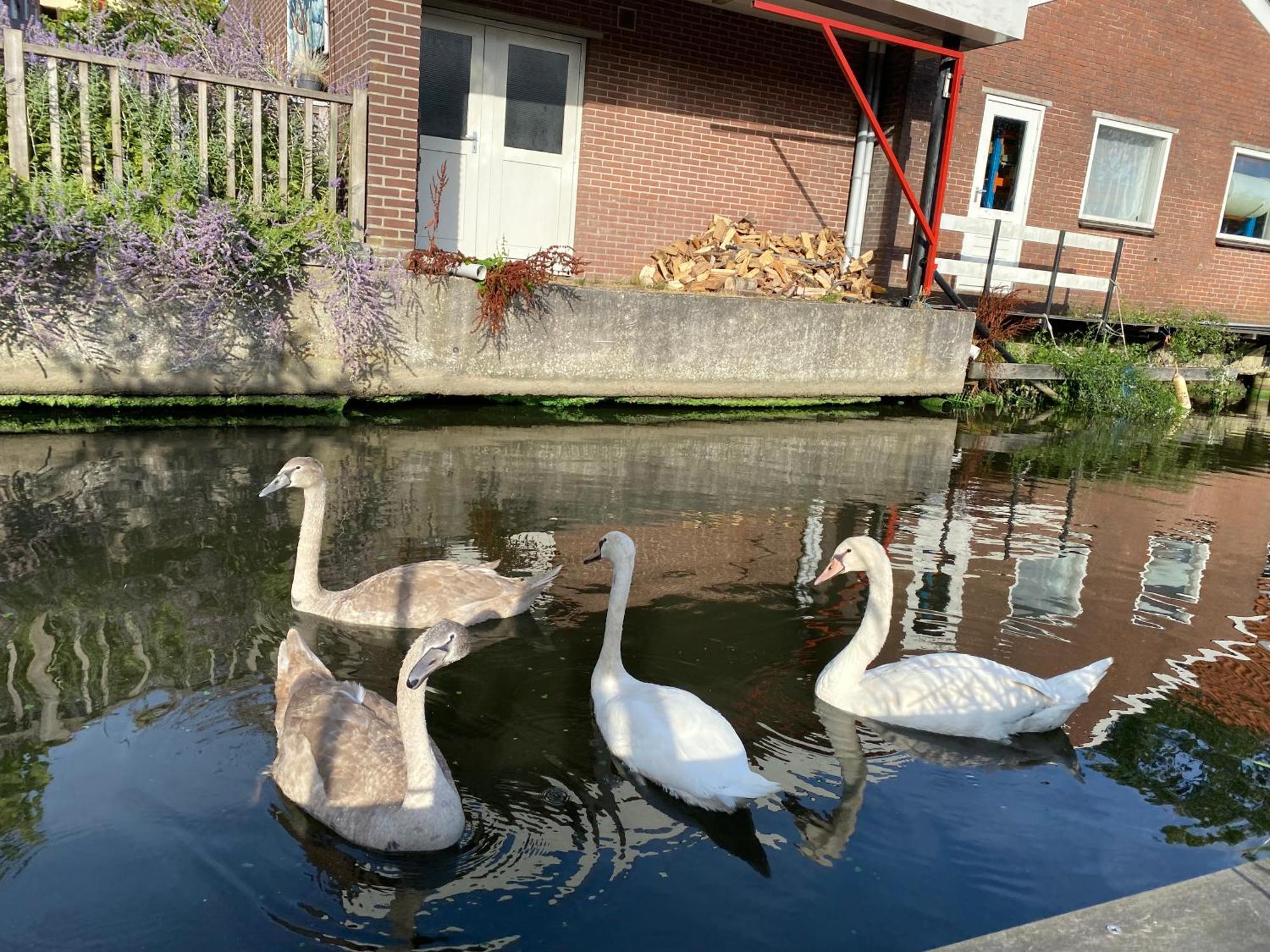 Pakhuis Prins Bed & Breakfast Zaandam Exterior photo